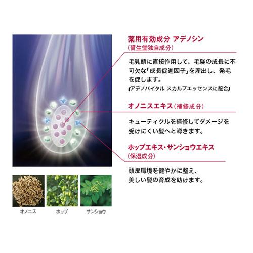 アデノバイタル 資生堂 ザ ヘアケア シャンプー 1000mL +