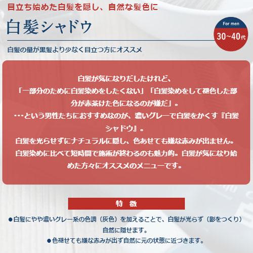 カレンシア　ナチュラルグレー　NG カレンシアヘアカラー 80g ＜ナチュラルグレー＞白髪ぼかし【医薬部外