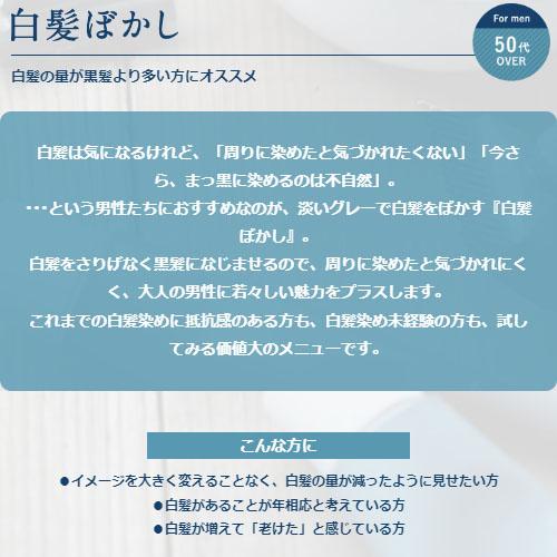 hoyu（ホーユー） カレンシアカラー ソフトグレー 80g 白髪ぼかし 白