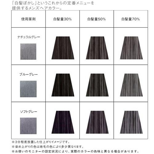 hoyu（ホーユー） カレンシアカラー ソフトグレー 80g 白髪ぼかし 白