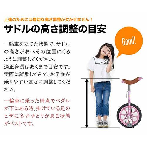 21Technology 21テクノロジー 一輪車 16インチ IR160 パープル FUNN
