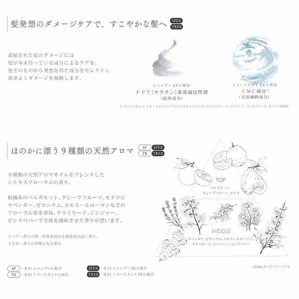 サンコール R-21 R21 EX エクストラ シャンプー 500mL + 700mL + トリートメント 500g + 700g ボトル&詰め替え セット 頭皮ケア サロン専売品_6