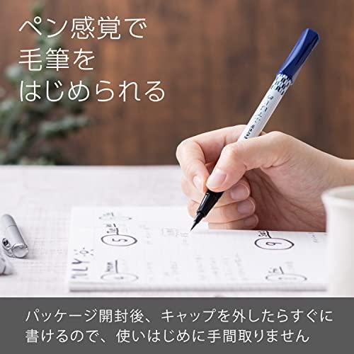 ぺんてる 筆ペン ぺんてる筆 ふではじめ 矢羽根柄 10本 Xgfd40ca1 A Q6xymym5pb Heilsuver Is