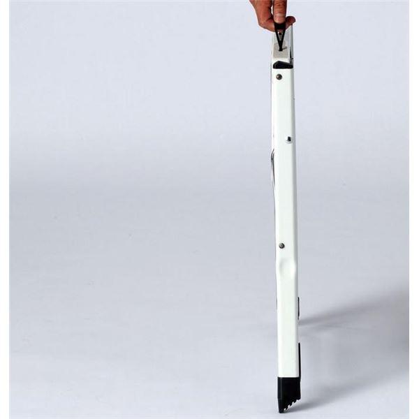 【TS】Hailo（ハイロ） ミニ 脚立 ステップツール 60000 |  | 01