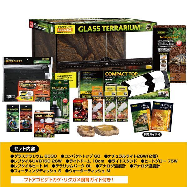TS】フトアゴヒゲトカゲ＆リクガメ飼育セット BK 爬虫類・両生類用品 