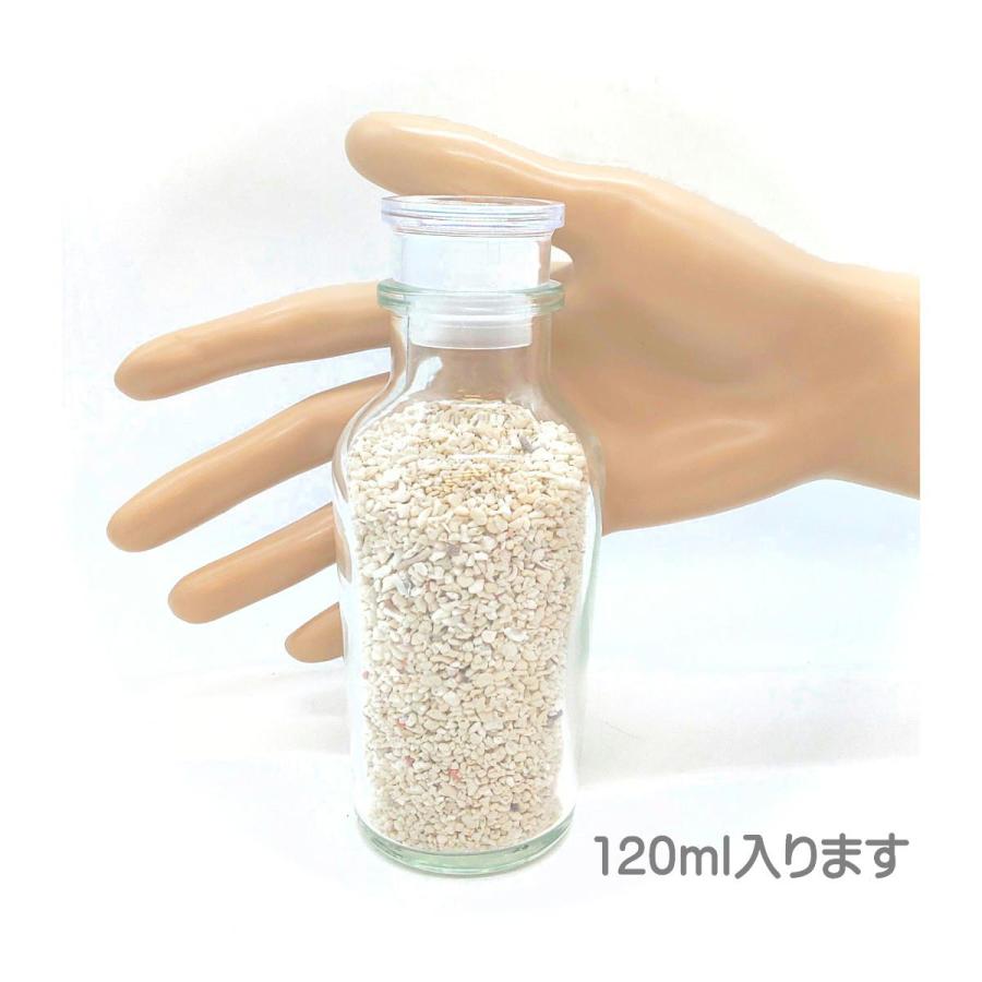 スパイスボトル ガラス瓶 ワグナー 120ml 5本 セット 日本製 調味料
