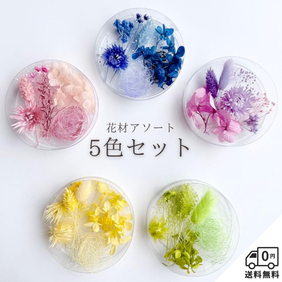 ②花材セット ハーバリウム 花材セット 5色入り 花材の詰め合わせ 中身が