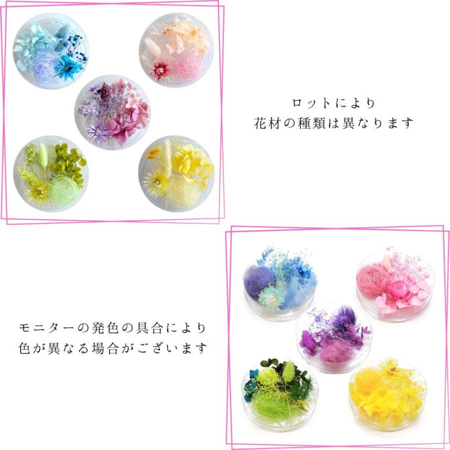 ハーバリウム 花材セット 5色入り 花材の詰め合わせ 中身が見える