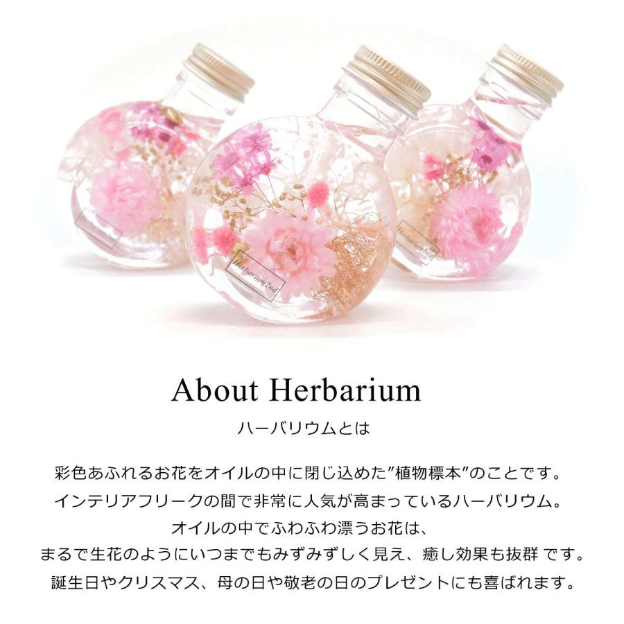 ハーバリウム 花材セット 5色入り 花材の詰め合わせ 中身が見える