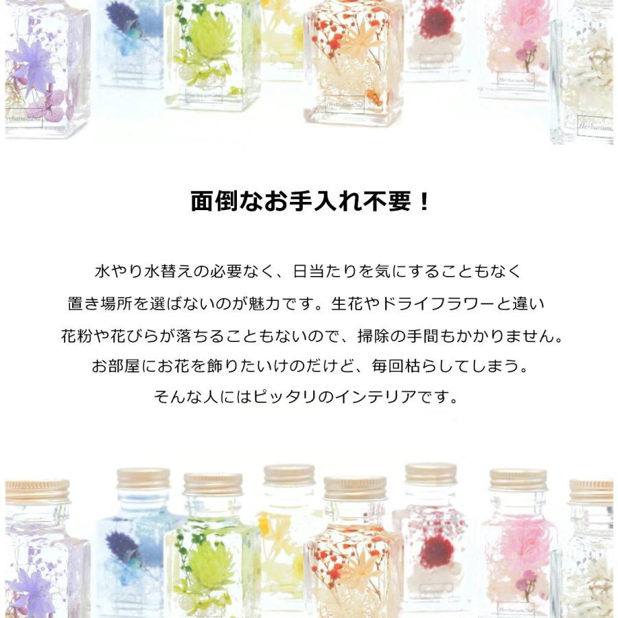 ハーバリウム 花材セット 5色入り 花材の詰め合わせ 中身が見える