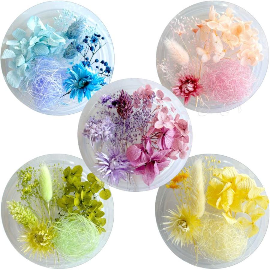 ハーバリウム 花材セット 5色入り 花材の詰め合わせ 中身が見える