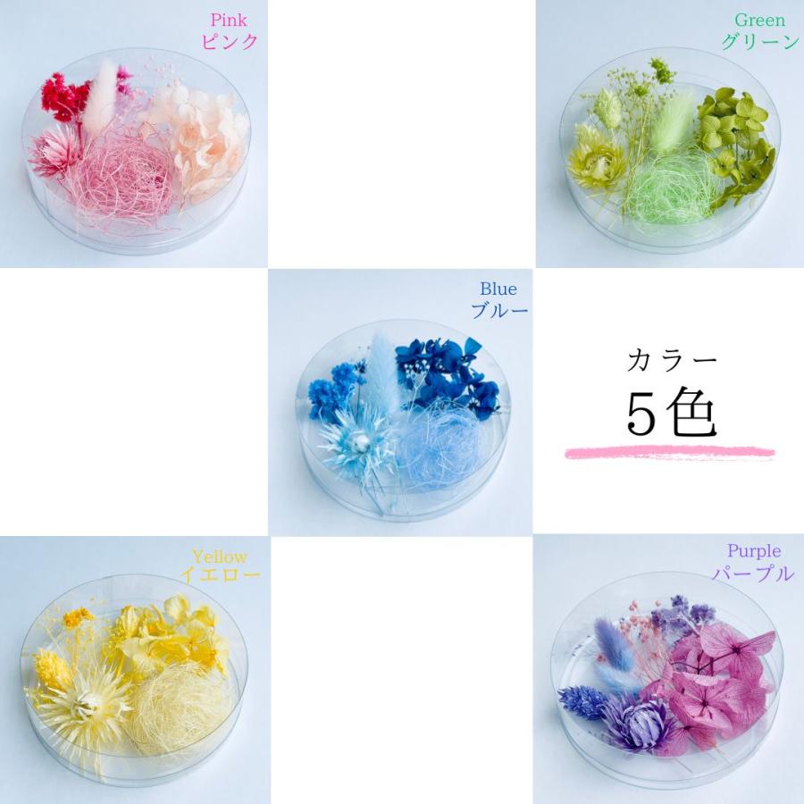 ハーバリウム 花材セット 5色入り 花材の詰め合わせ 中身が見える