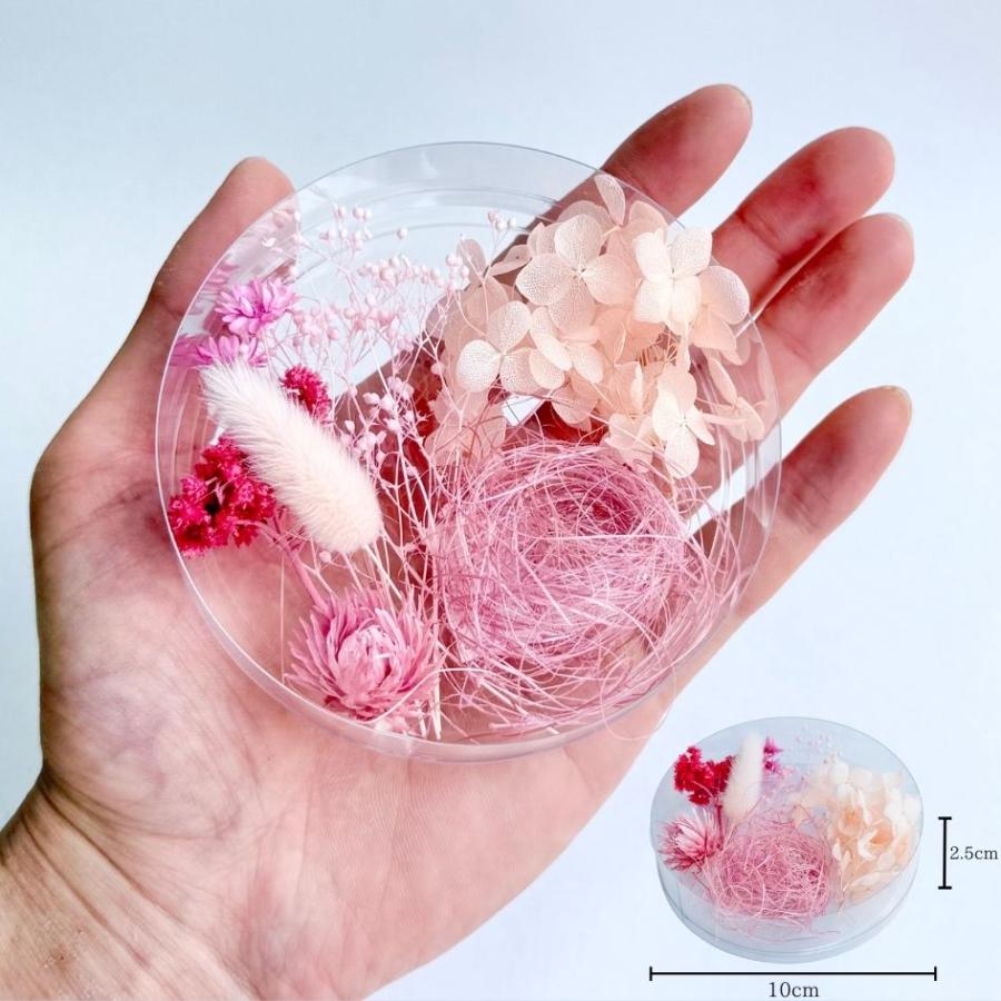 ハーバリウム 花材セット 5色入り 花材の詰め合わせ 中身が見える