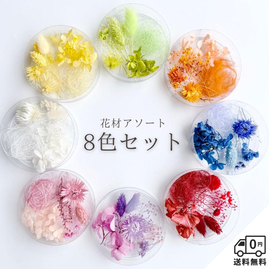 ハーバリウム花材セット ハーバリウム 花材セット 8色入り 花材の詰め合わせ 中身が