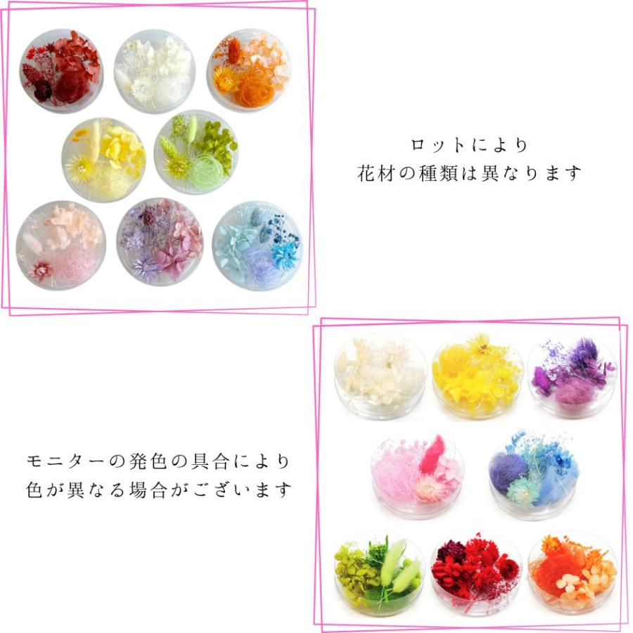 ハーバリウム 花材セット 8色入り 花材の詰め合わせ 中身が見える