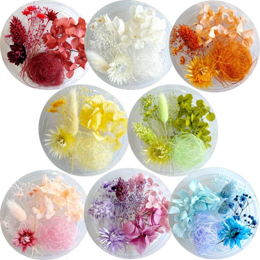 ハーバリウム 花材セット 8色入り 花材の詰め合わせ 中身が見える