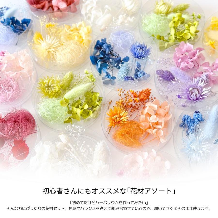 ハーバリウム 花材セット 8色入り 花材の詰め合わせ 中身が見える