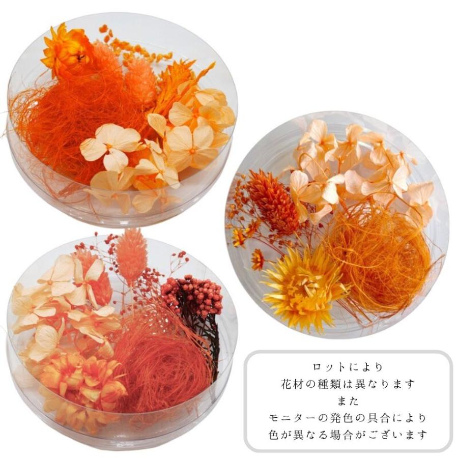通常カラー】ハーバリウム 花材 アソート セット ドライフラワー