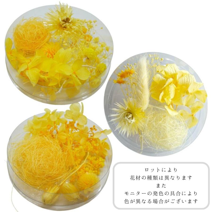 通常カラー】ハーバリウム 花材 アソート セット ドライフラワー