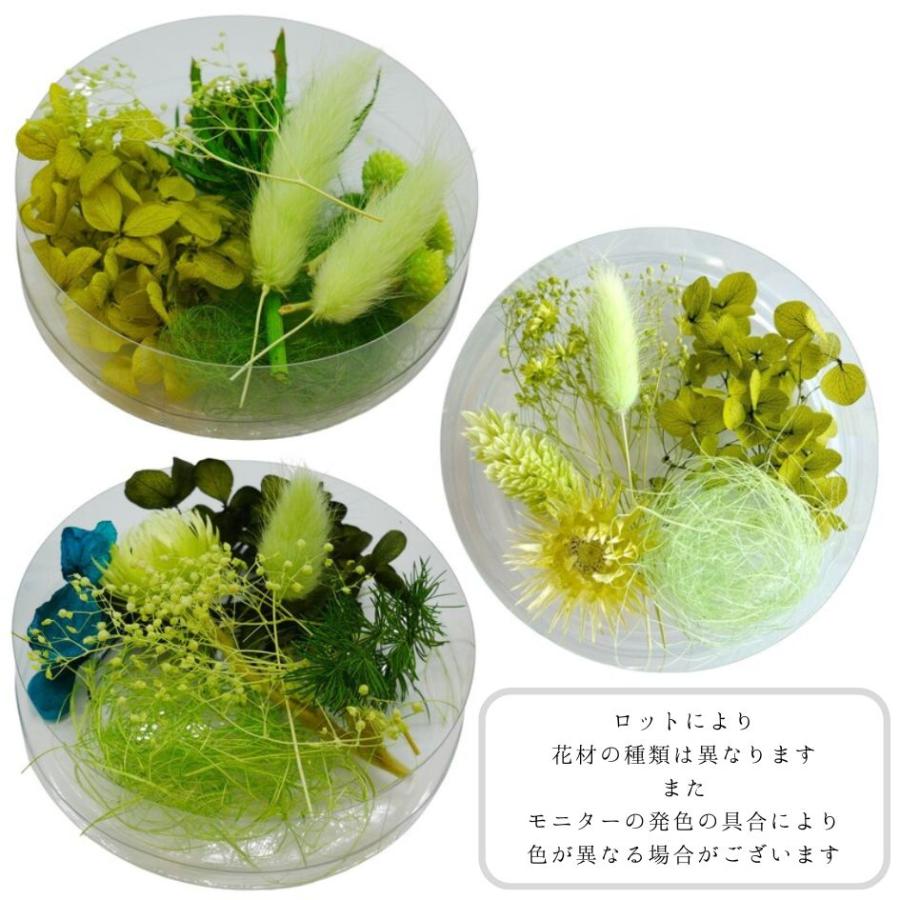 通常カラー】ハーバリウム 花材 アソート セット ドライフラワー