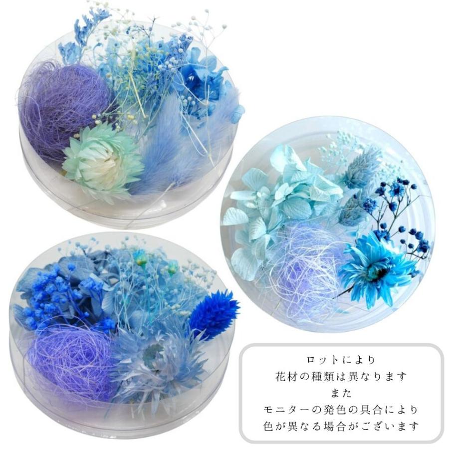 通常カラー】ハーバリウム 花材 アソート セット ドライフラワー