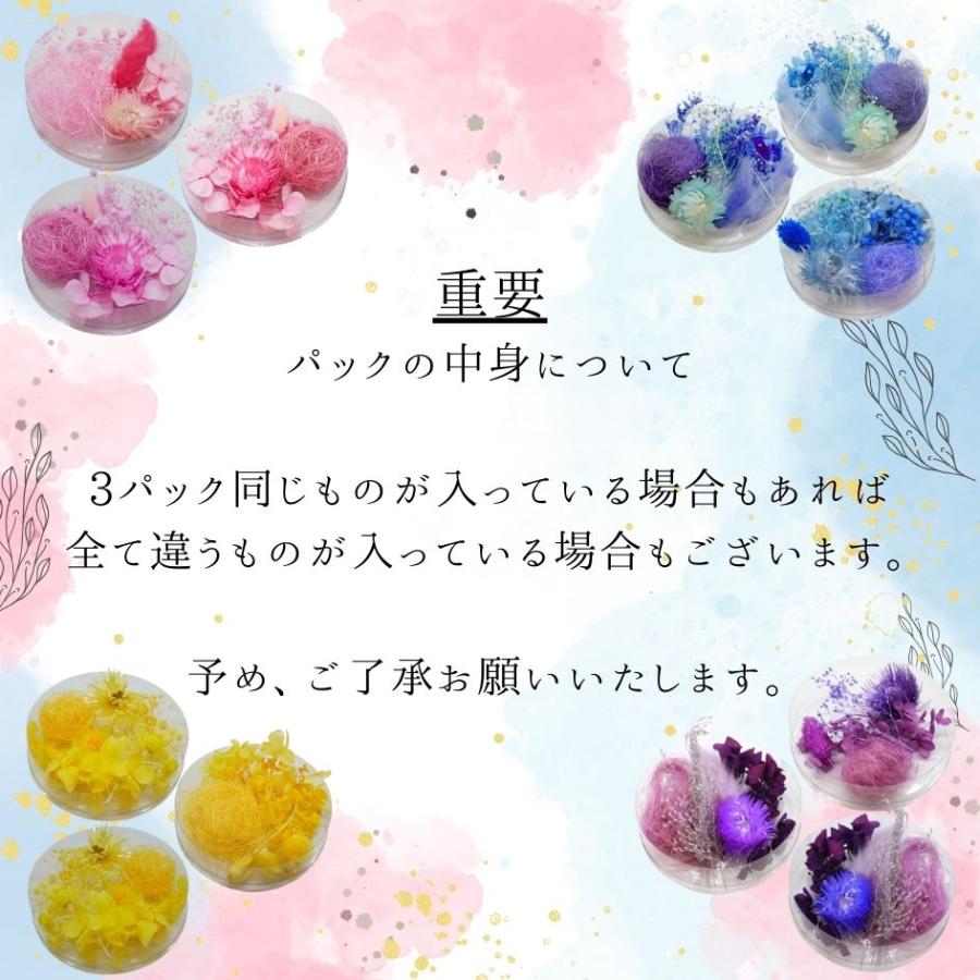 ハーバリウム花材まとめ 1_000000000435.jpg?1759372770