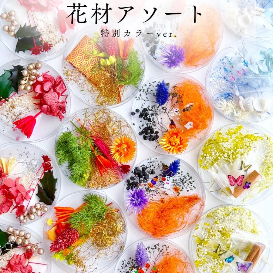 特別カラー】ハーバリウム 花材 アソート セット ハロウィン 