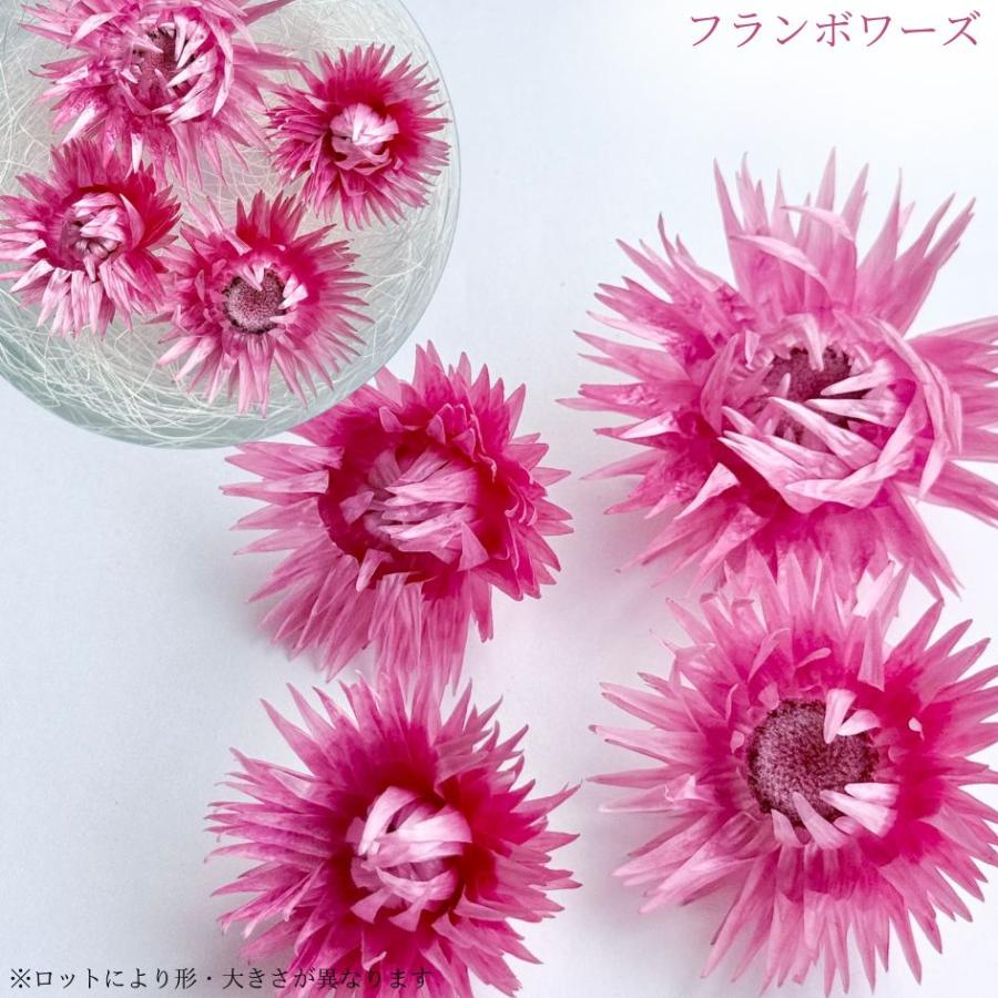 ハーバリウム 花材 デイジー ブリザーブドフラワー 中身が見えるクリア