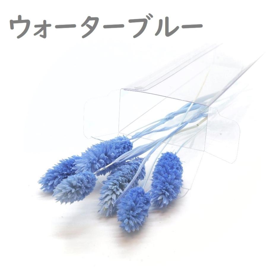 日本最大級の品揃え ハーバリウム 花材 ポアプランツ ブリザーブドフラワー 中身が見えるクリアケースに入っています Cisama Sc Gov Br