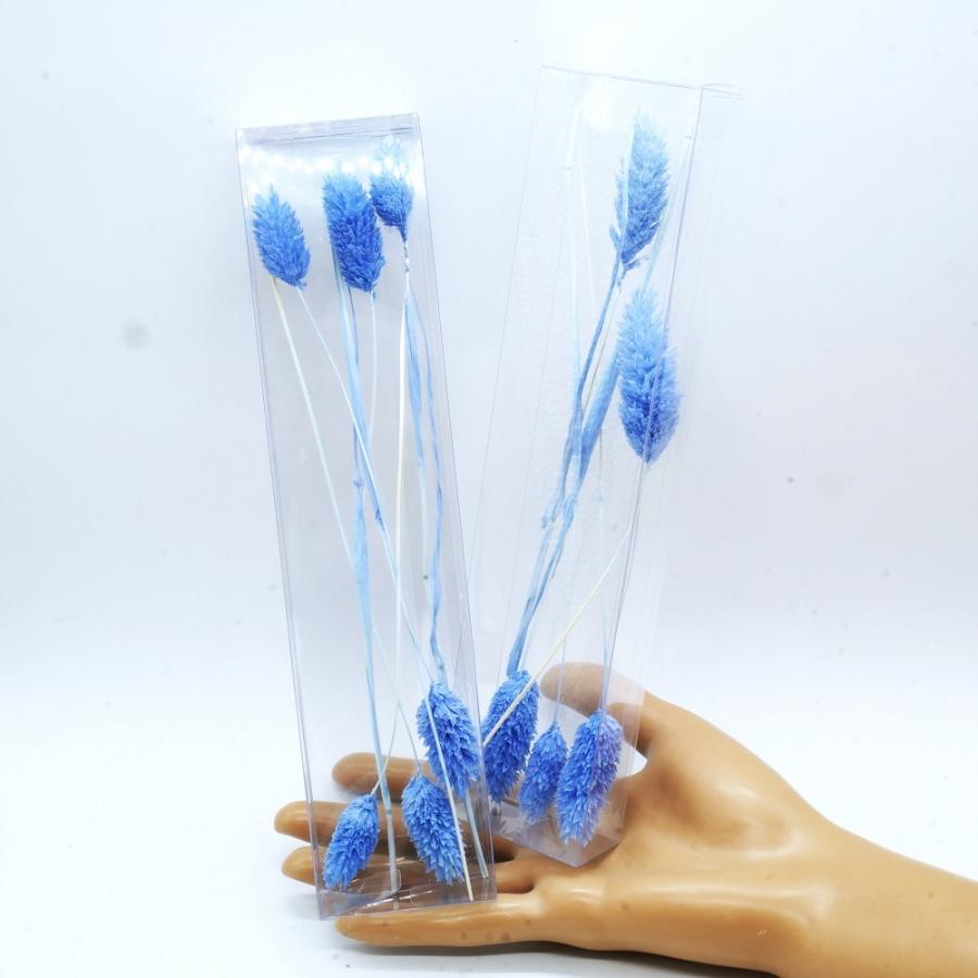 日本最大級の品揃え ハーバリウム 花材 ポアプランツ ブリザーブドフラワー 中身が見えるクリアケースに入っています Cisama Sc Gov Br