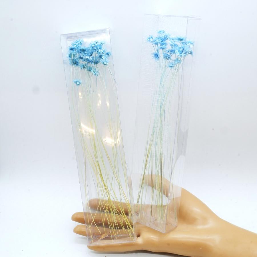人気商品 ハーバリウム 花材 スターフラワーブロッサム ブリザーブドフラワー 中身が見えるクリアケースに入っています Cisama Sc Gov Br
