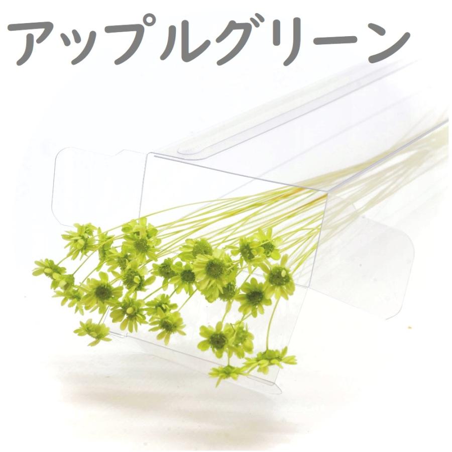 ハーバリウム 花材 スターフラワーブロッサム ブリザーブドフラワー 