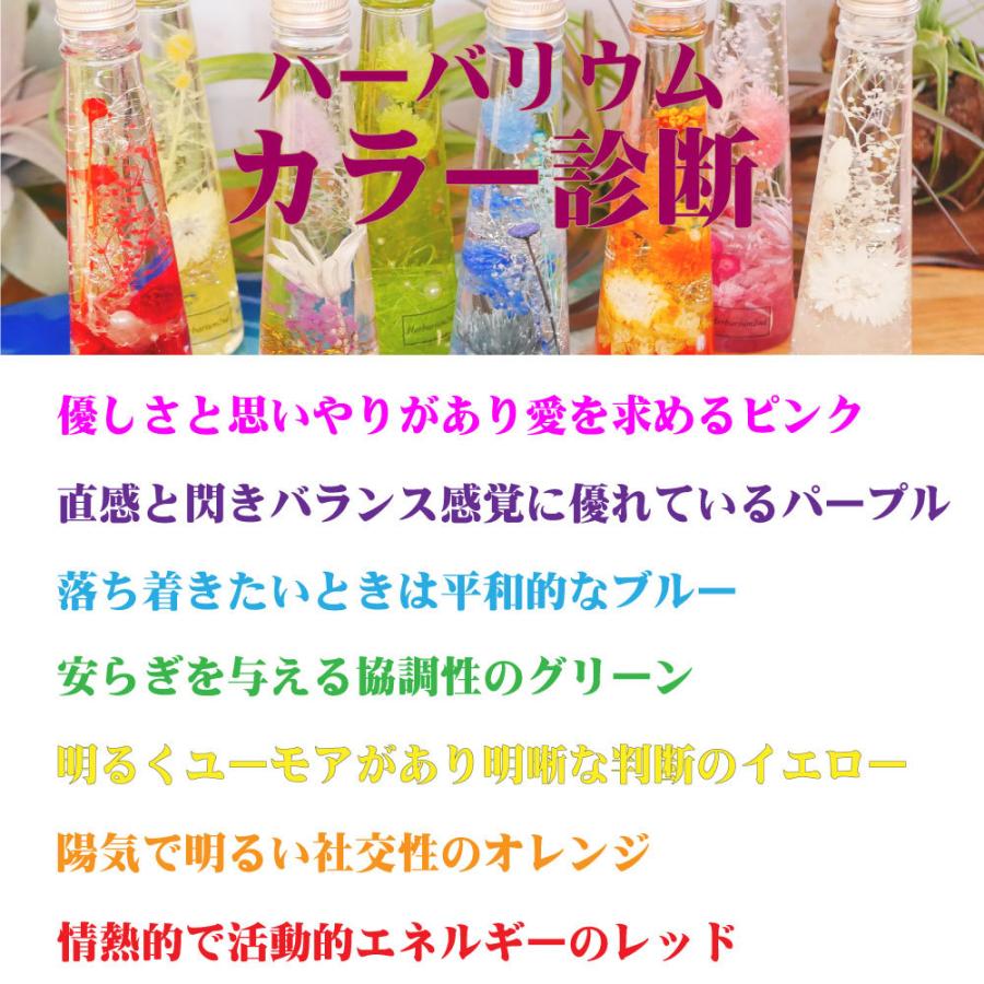 横浜ハーバリウム弐番店 ハーバリウムキット 簡単に作れる 2本 セット ピンセット無し Hb05n ハンドメイド素材の店 Mstore 通販 Yahoo ショッピング