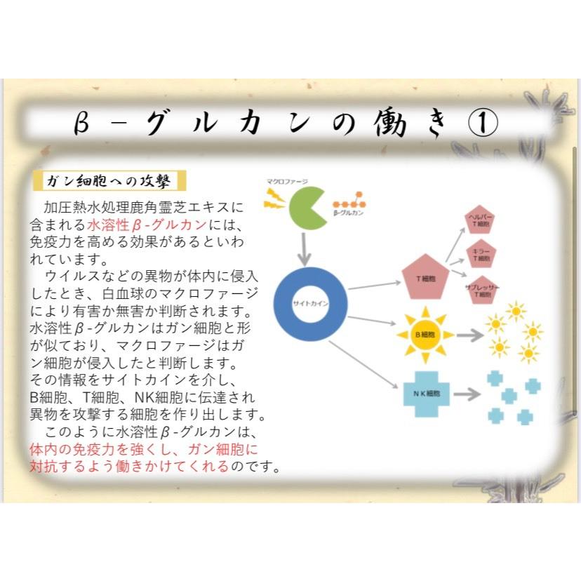 福壽仙540粒 【β-グルカン 鹿角霊芝 霊芝 】180粒×3 : ハン市場