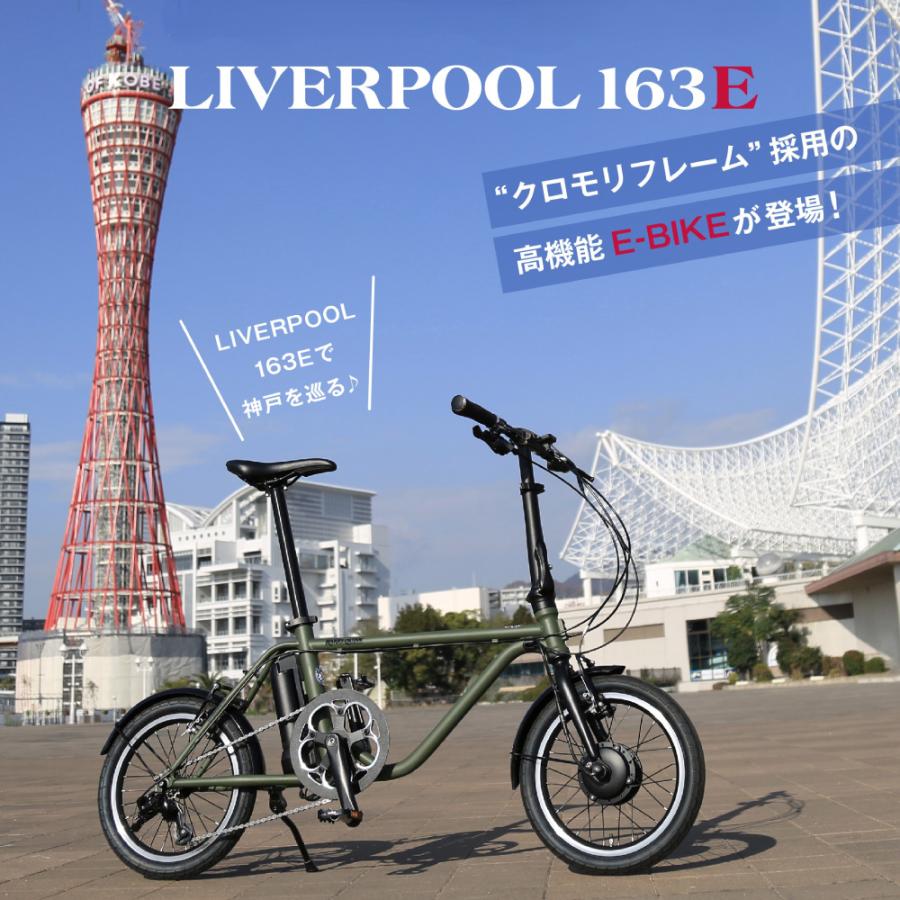 電動アシスト自転車 折り畳み自転車 GIC ジック Harry Quinn ハリー