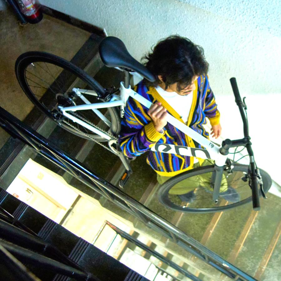 自転車 tern ターン RojiBikes Rip リップ | DAHON | 13