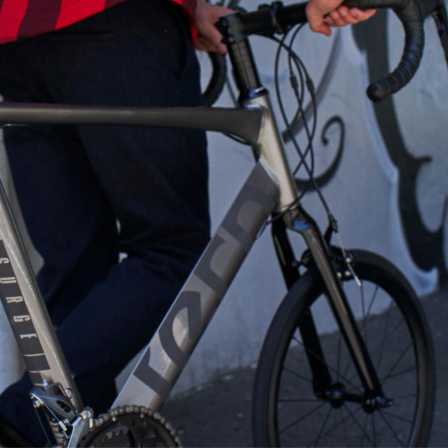 DAHON（ダホン） 【ポイント10倍】自転車 ミニベロ tern ターン Surge