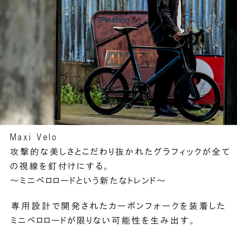 5のつく日は3000円クーポン))【ポイント10倍】ミニベロ tern ターン 