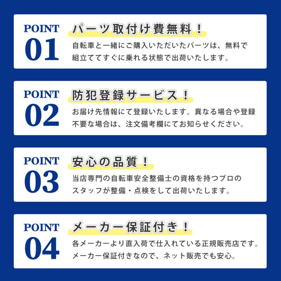 ((5のつく日3000円クーポン!))電動アシスト自転車 BRIDGESTONE ブリヂストン フロンティア デラックス（26インチ/24インチ） F6DB45 F4DB45 2025年モデル | FRONTIA | 13