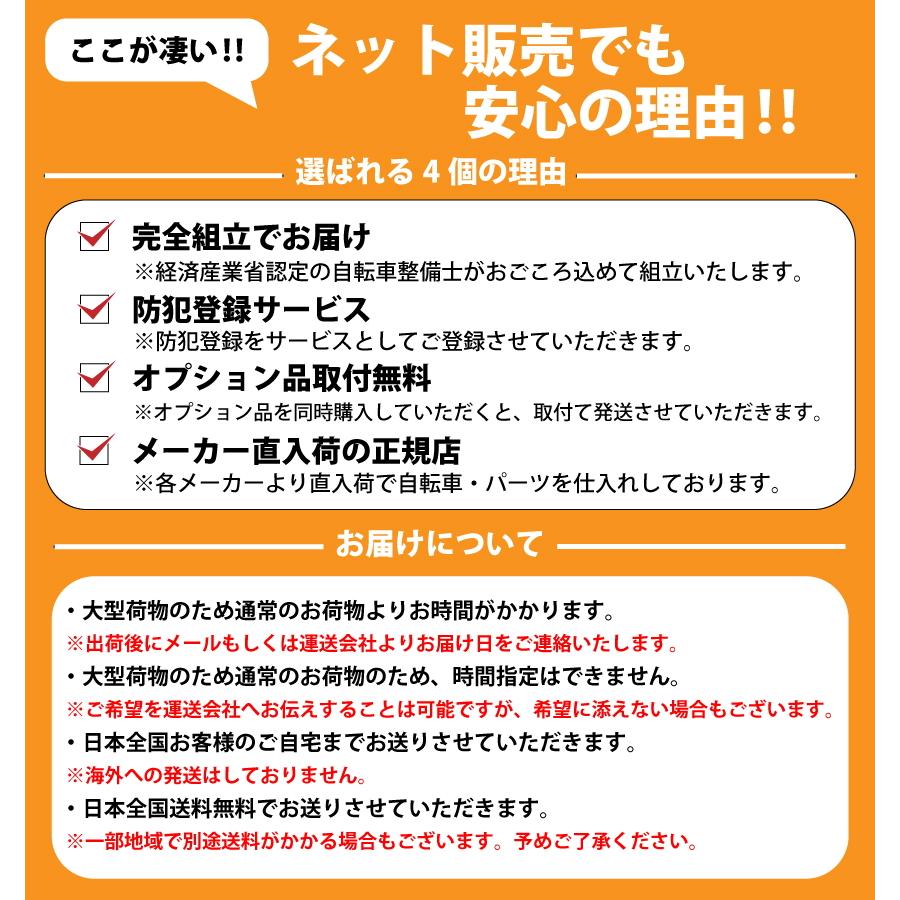 HYDEE 電動自転車 BRIDGESTONE ブリヂストン 2023年モデル HYDEE.II