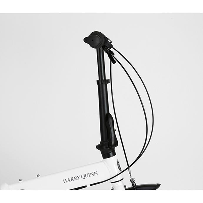 5のつく日3000円クーポン))自転車 折りたたみ自転車 GIC ジック Harry