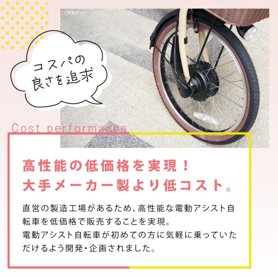 PELTECH（ペルテック） 【ペルテック自転車ポイント+2%】電動アシスト