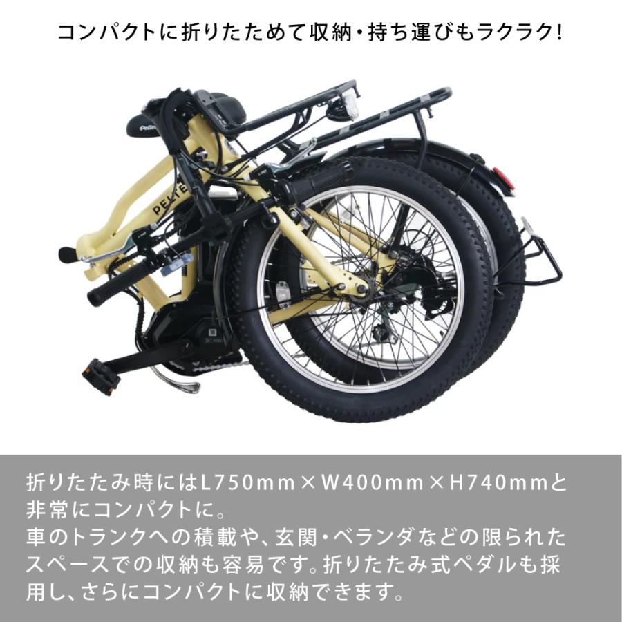 PELTECH（ペルテック） 電動アシスト自転車 折り畳み自転車 20型 外装6