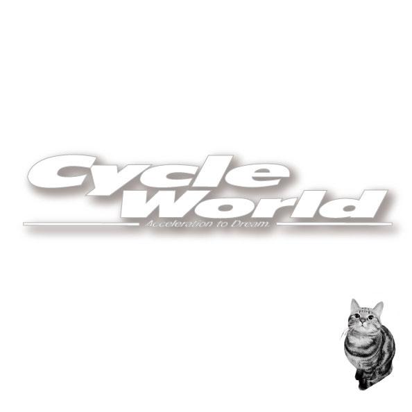 ☆【オーダー専用ページ】お取り寄せ専用ページ　【バイク用品】 | アルパインスターズ
