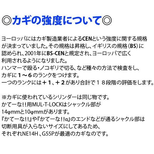 〔加藤製作所〕 かてーな!! α20 《長さ：2.0m》 アルファ20 携帯用 KG-100 バイクロック 盗難防止 鍵 ロック  丈夫 最強 衣川製鎖工業｜cycle-world｜07