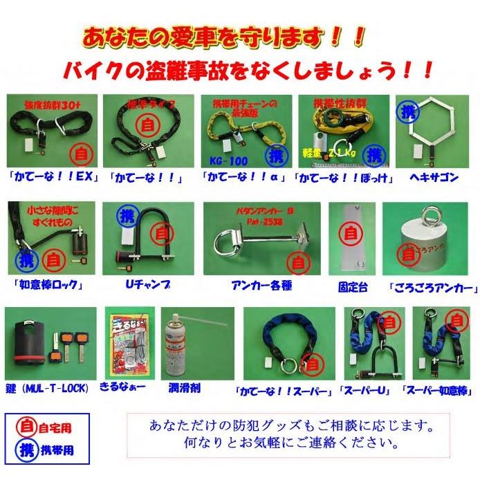 加藤製作所〕 かてーな!! II 20 《長さ：2.0m》 自宅用 KG-200 バイク 