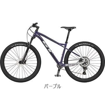 店舗受取送料割引)GT (ジーティー) 23'AVALANCHE EXPERT V2