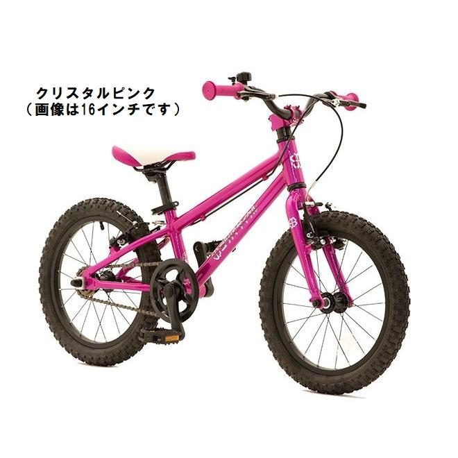 ヨツバサイクル20インチ　キッズ自転車MTB(基本引取希望) ヨツバサイクル20インチ キッズ自転車MTB(基本引取希望) Amazon