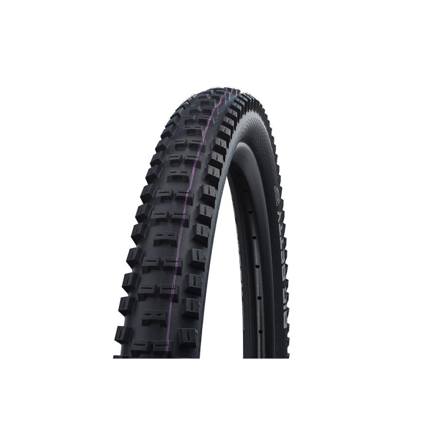 特セール)シュワルベ（SCHWALBE） ビッグベティ SUPER DOWNHIL