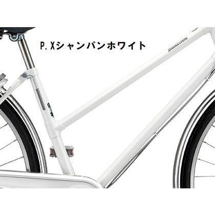 店舗受取送料割引)ブリヂストン（BRIDGESTONE） 22'ロングティーン